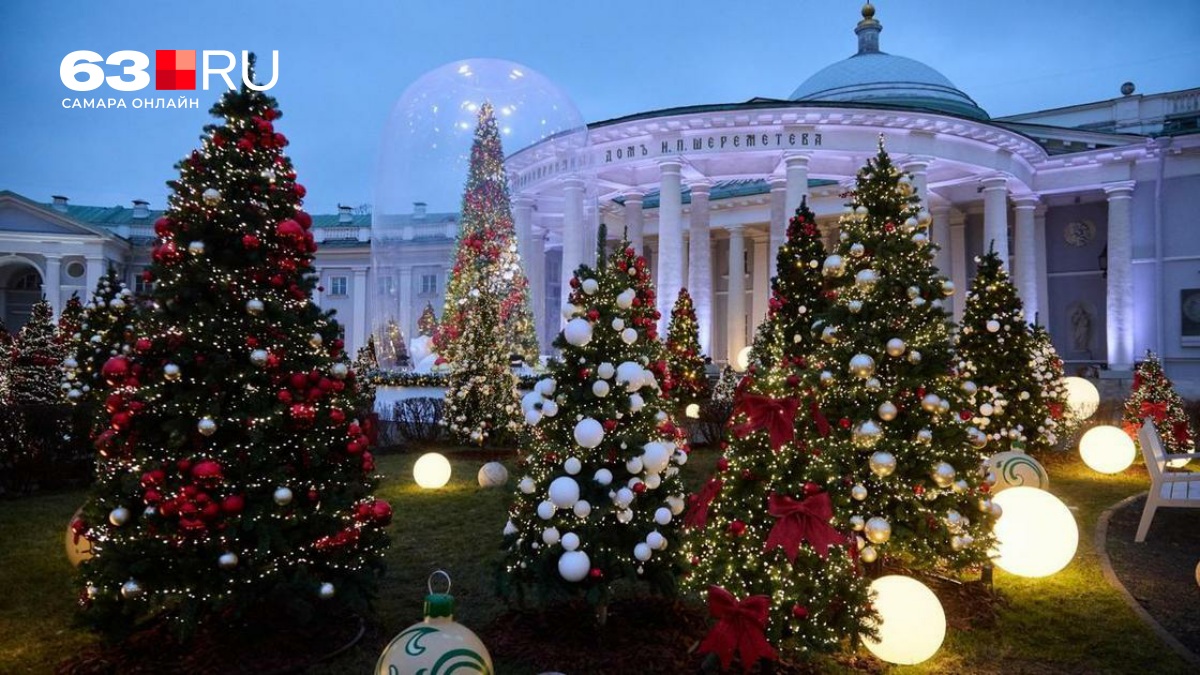 Эксперт: выбрасывать елку на мусорку нельзя, что делать, чтобы не получить штраф – 8 января 2026 Эксперт: выбрасывать елку на мусорку нельзя, что делать, чтобы не получить штраф – 8 января 2026